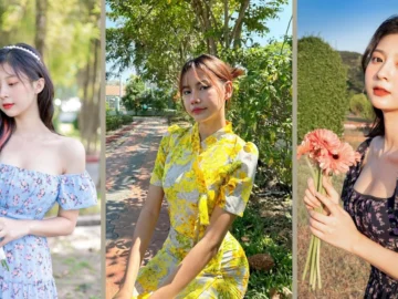 Warna Motif HOT51.COM